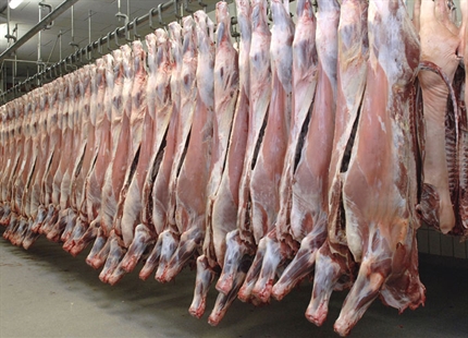 Увлажнение воздуха на бойнях