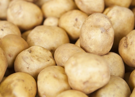 Увлажнение овощебаз и зернохранилищ