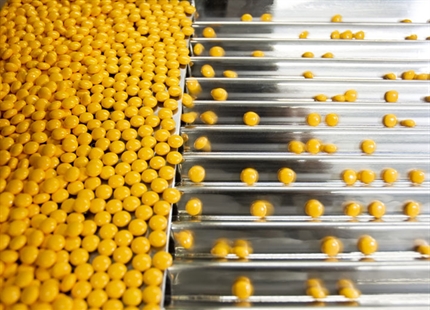 Увлажнение воздуха в фармацевтической промышленности