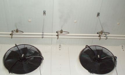 Снижение потери массы мясных туш